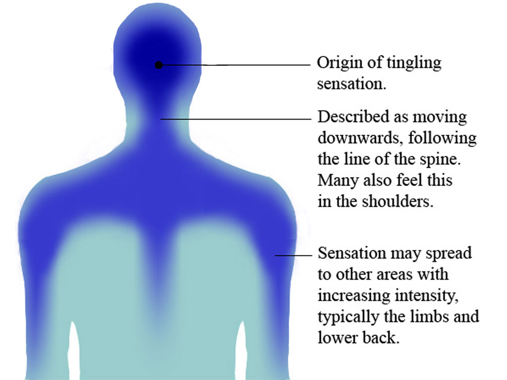 autonomous sensory meridian response